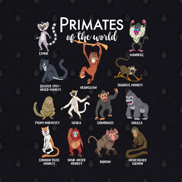 Many species of monkeys - types of primates by Modern Medieval Design